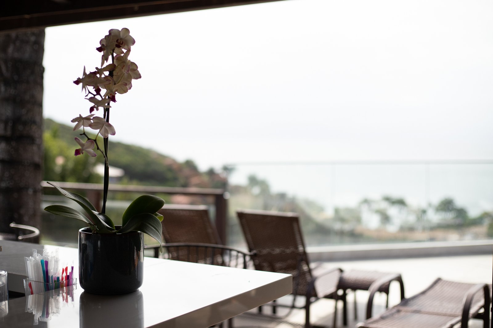 Areas e colaboradores-7